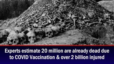 По оценкам экспертов, 20 млн уже умерли из-за вакцинации от COVID - The Expose