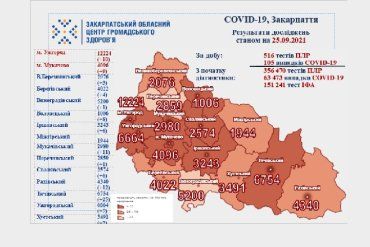 В Закарпатье растет число случаев коронавируса, больше всего - в Тячевском районе