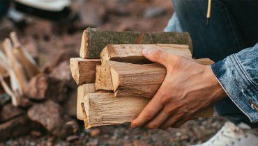 Как купить дрова на зиму напомнили в лесхозе Закарпатья