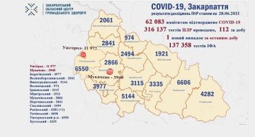 В Ужгороде почти 300 человек сидит на самоизоляции: Статистика в Закарпатье на 28 июня