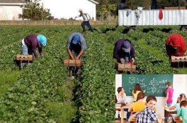 Образование в Украине готовит детей к роли трудовых мигрантов-рабов в США и Европе