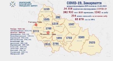В Закарпатье за минувшие сутки умерло 4 больных с диагнозом COVID-19: Данные на 12 февраля