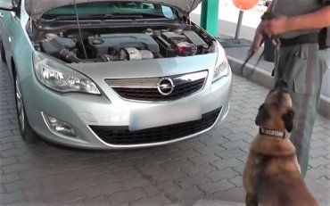 В Венгрии собака вынюхала в Opel контрабанду из Закарпатья