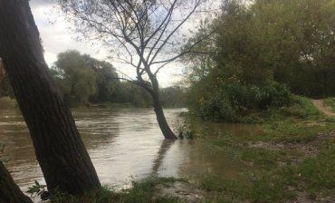 Затяжні дощі підтопили обласний центр Закарпаття місто Ужгород