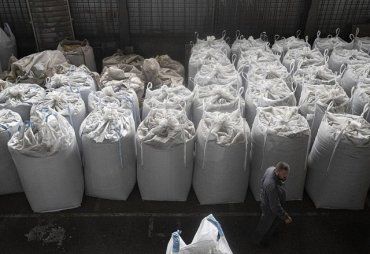 Запрет импорта зерна из Украины намерены ввести также в Румынии