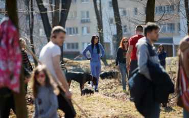Внимание, клещи: в Украине активизировались кровопийцы