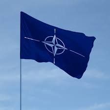 Ескалація конфлікту України з Угорщиною отримала новий "імпульс" - НАТОвський!
