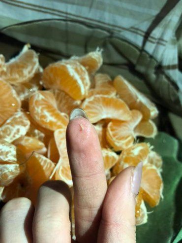 В Закарпатье продают мандарины с очень неприятным сюрпризом 