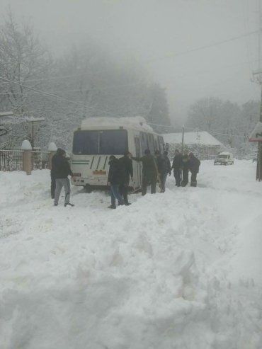 Закарпаття. Пасажири визволяли автобус зі снігового полону на Ужгородщині