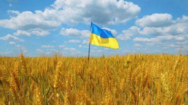 Почем гектар Украины? 