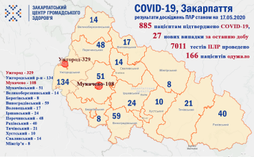 В Закарпатье от коронавируса умерли уже 24 человека: Статистика на 17 мая
