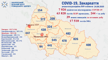 В Закарпатье по новым случаям COVID-19 лидируют Ужгород и Береговский район: Статистика на 24 августа