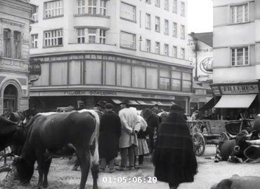 Ужгород 1939 года: Сцены уличной жизни на отреставрированной кинохронике