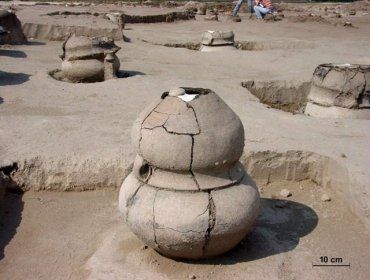  Во время раскопок на берегу Дуная археологи обнаружили 525 кремационных урн древней культуры Ватя.