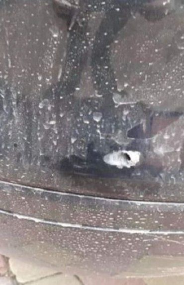 Замах на вбивство: Прикордонники в Закарпатті обстріляли авто з дітьми