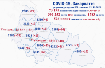 Сейчас в Закарпатье более 7500 человек болеют COVID-19