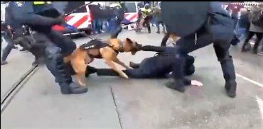 В Амстердаме полиция жестко подавила антиковидный протест - собаками, газом и дубинками
