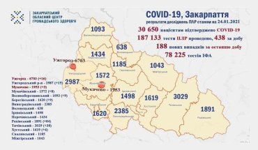 В Закарпатье 188 новых случаев COVID-19, в одном районе - 84: Данные на 24 января 