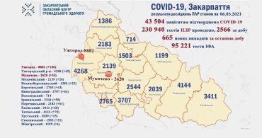 В Закарпатье по новым случаям коронавируса лидируют Тячевский район и Ужгород: Данные на 6 марта