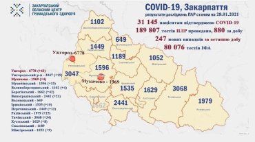В Закарпатье по новым случаям коронавируса лидируют Ужгород и Береговский район: Данные на 28 января