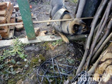 Закарпаття. Службовий собака-поліцейський допоміг повернути вкрадене у Мукачеві майно 