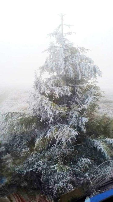 Незвичайні вересневі кадри із зимовим інеєм зафіксували у горах Перечинщини