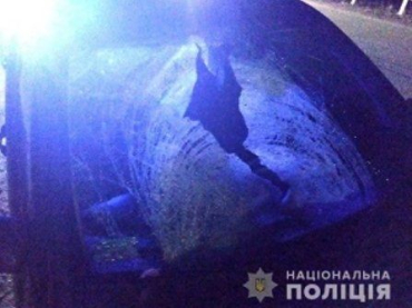 Водій легковика смертельно травмував пішохода на трасі Київ-Чоп