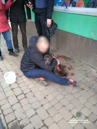 Порізаного ножем пітбуля врятували патрульні в Ужгороді