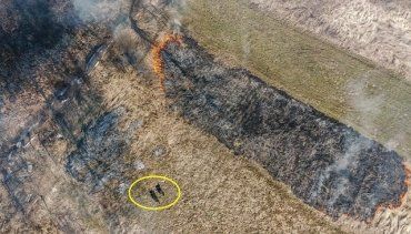 В Закарпатье паскудников - поджигателей сухостоя "поймал" дрон 
