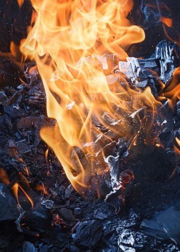 В Закарпатье весеннее сжигание привело к печальным результатам
