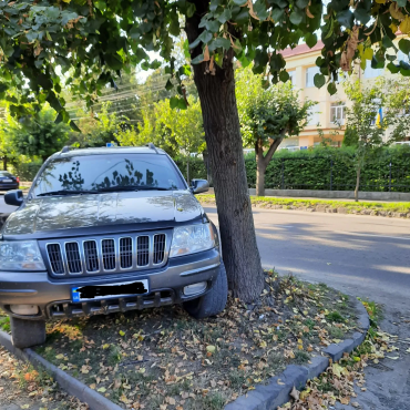 В Ужгороде гуру парковки блеснул умом возле здания суда