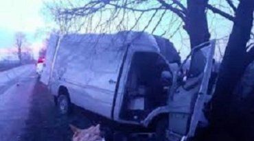 В Закарпатье микроавтобус разбился об дерево: Есть двое пострадавших 