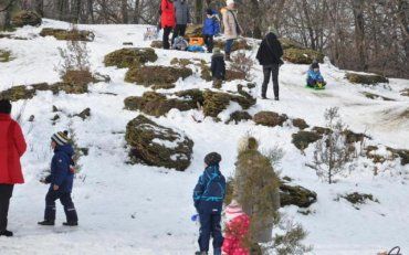 В Харьковской области ребенок едва не погиб под снежной лавиной