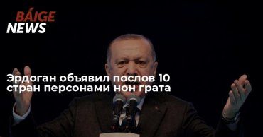 Эрдоган объявил послов 10 стран персонами нон грата 