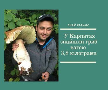 В Карпатах "охотник" наткнулся на гриб весом почти 4 кг 