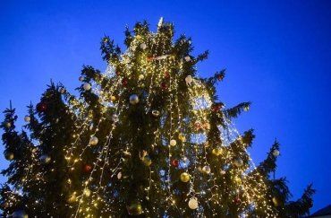 Елка в Ужгороде: установят ли новогоднюю красавицу в этом году