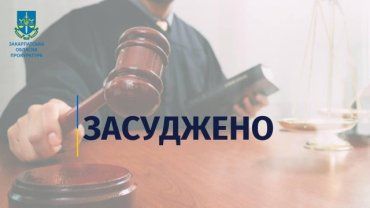 В Закарпатье судили "земельного" комбинатора - 5 лет с конфискацией 