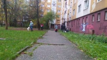 Чудом осталась жива: В Ужгороде девушка выпала из окна многоэтажки 