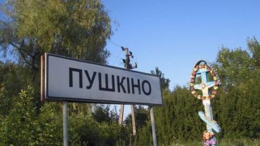 В Закарпатье жители Пушкино определились с новым названием для села