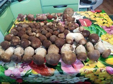 Ужгороде на рынках продают белые грибы 