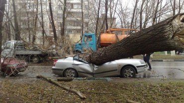 В Ужгороде буйный ветер разрушил три автомобиля 
