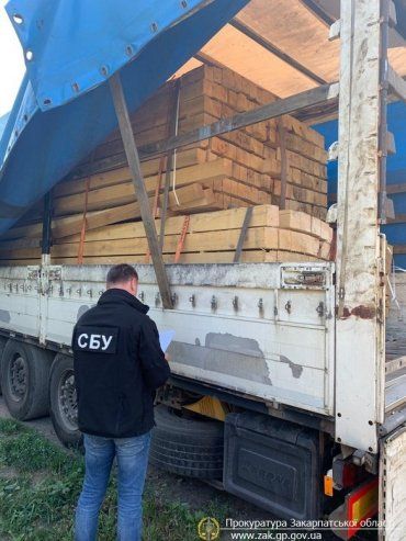 В Закарпатье разоблачили незаконную схему транспортировки древесины за границу
