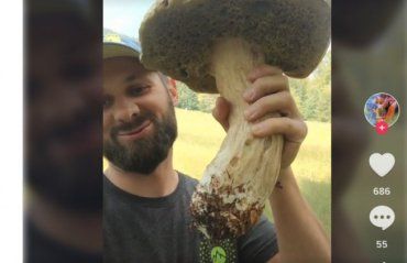 Больше его головы: Парень из Закарпатья похвастался в соцсетях найденным грибом-гигантом