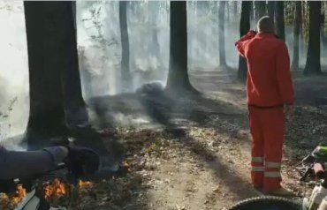 Опубликовано видео где пожарные тушат траву возле трупа человека в Закарпатье