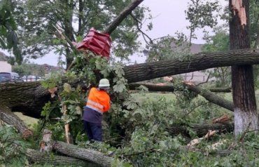 В Закарпатье спасатели рассказали о последствиях сильнейшего урагана 