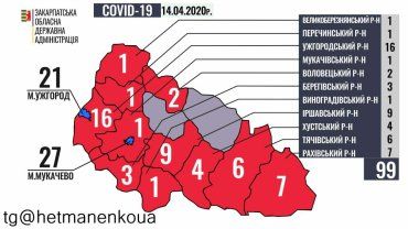 Коронавирус в Закарпатье: 99 зараженных и только 2 здоровых района - официально