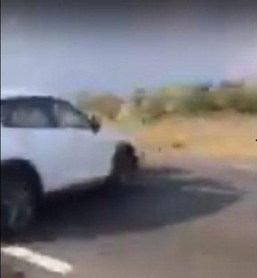 В Закарпатье женщина-водитель протаранила на трассе легковушку 