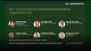 Как депутаты из Закарпатья голосовали за острочку штрафов для евроблях
