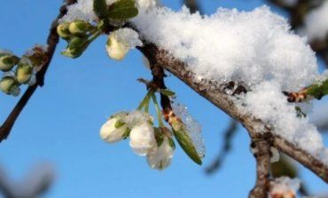 В Украину наконец идет весна – местами до 16 тепла