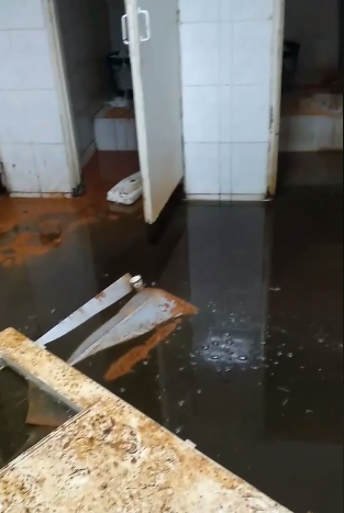 В Закарпатье на границе с Венгрией полы туалета буквально плавают в фекалиях 